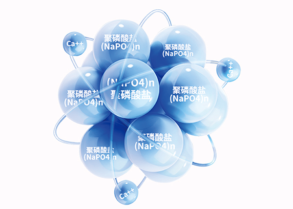 尊龙Z6 - 尊龙网址在线登陆官网